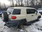 2010 Toyota FJ Cruiser