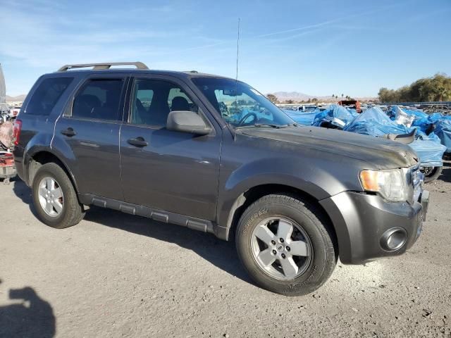 2009 Ford Escape XLT