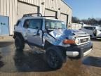 2007 Toyota FJ Cruiser