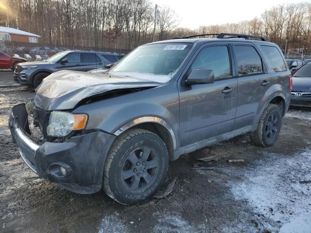 2009 Ford Escape Limited