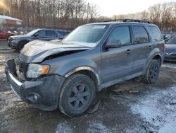 Salvage cars for sale at Baltimore, MD auction: 2009 Ford Escape Limited