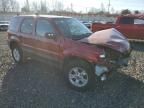 2005 Ford Escape XLT