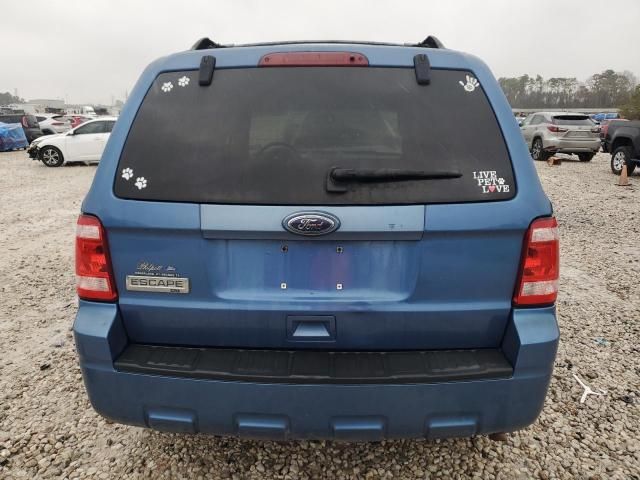 2010 Ford Escape XLT