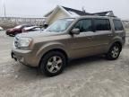 2011 Honda Pilot EX