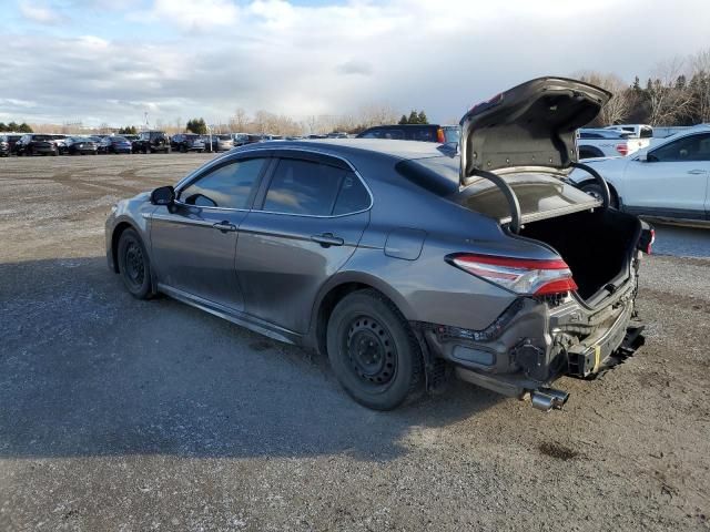 2019 Toyota Camry Hybrid