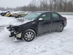 Toyota salvage cars for sale: 2011 Toyota Corolla Base