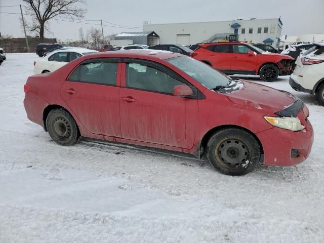 2009 Toyota Corolla Base