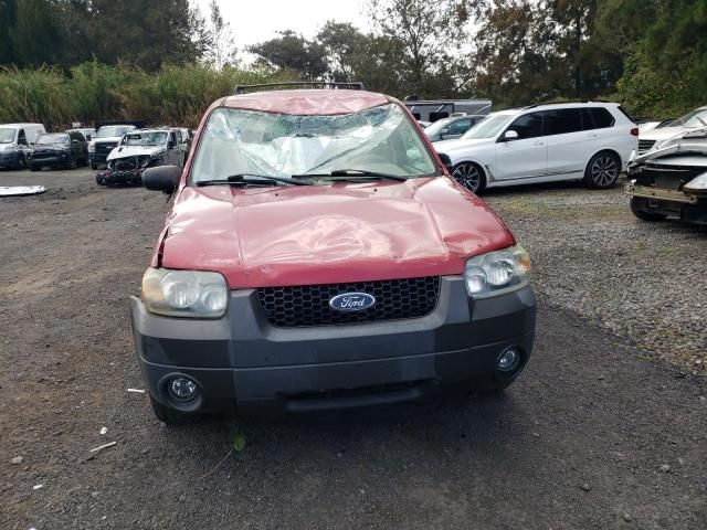 2005 Ford Escape XLT