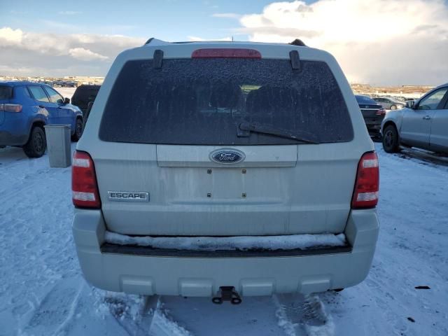 2008 Ford Escape XLT