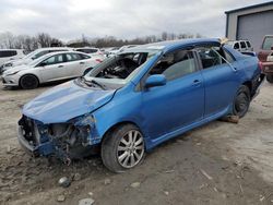 Toyota Corolla salvage cars for sale: 2010 Toyota Corolla Base