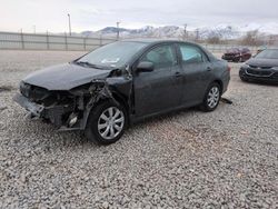 Toyota salvage cars for sale: 2010 Toyota Corolla Base