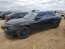 Dodge Charger salvage cars for sale: 2020 Dodge Charger SXT