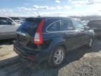 2010 Honda CR-V EXL