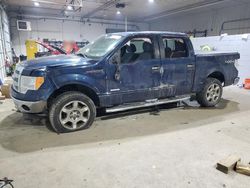 Salvage cars for sale at Candia, NH auction: 2013 Ford F150 Supercrew