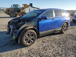 Salvage cars for sale at Lumberton, NC auction: 2020 Honda CR-V EX