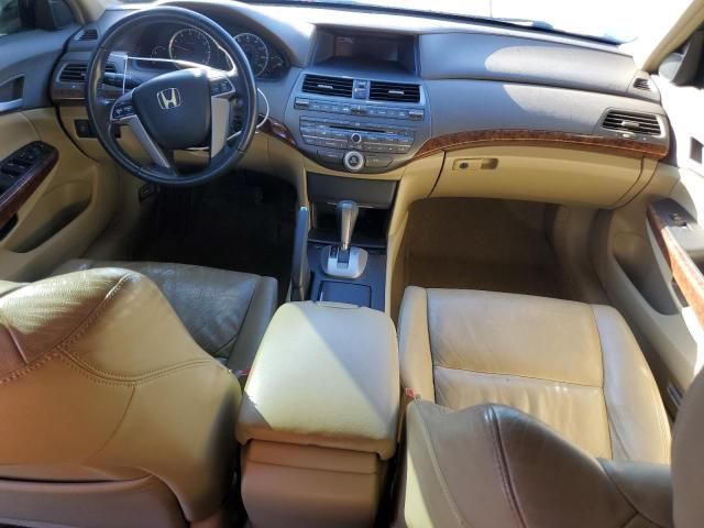 2008 Honda Accord EXL