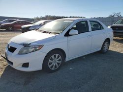 Toyota Corolla Base salvage cars for sale: 2009 Toyota Corolla Base