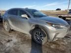 2020 Lexus NX 300H