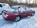 2005 Chevrolet Malibu LT