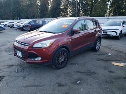 Salvage cars for sale at Arlington, WA auction: 2015 Ford Escape Titanium