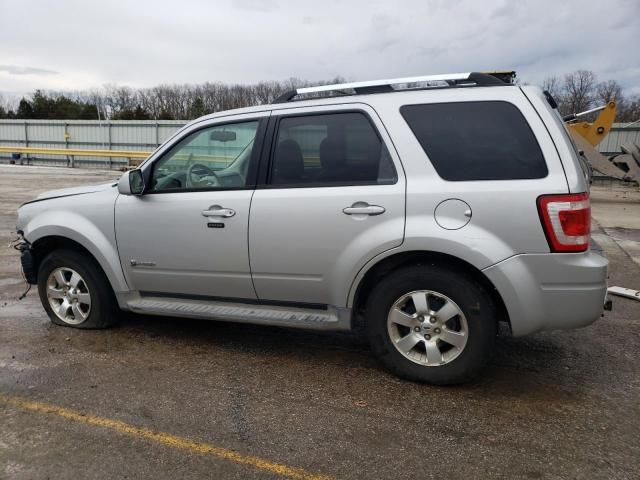 2010 Ford Escape Hybrid