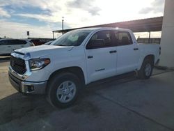 Salvage cars for sale at Anthony, TX auction: 2021 Toyota Tundra Crewmax SR5