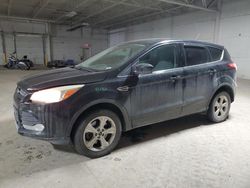 2013 Ford Escape SE en venta en Columbus, OH