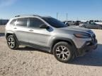 2014 Jeep Cherokee Trailhawk