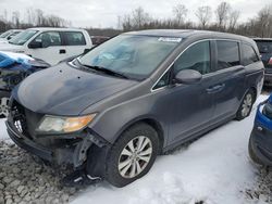 Salvage cars for sale at Barberton, OH auction: 2014 Honda Odyssey EXL