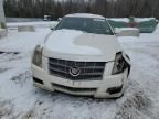 2011 Cadillac CTS