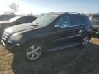 2010 Mercedes-Benz ML 350