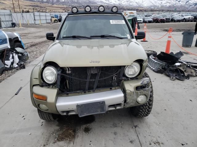 2002 Jeep Liberty Renegade