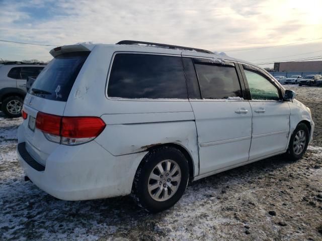 2009 Honda Odyssey EXL