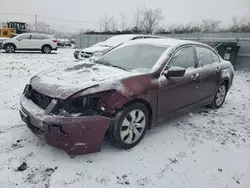 Salvage cars for sale from Copart Marlboro, NY: 2010 Honda Accord EXL