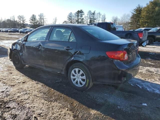 2010 Toyota Corolla Base