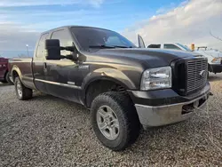 Ford Vehiculos salvage en venta: 2006 Ford F250 Super Duty