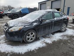 Ford Focus salvage cars for sale: 2014 Ford Focus SE