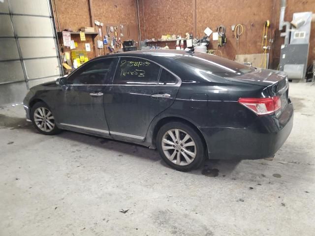 2010 Lexus ES 350