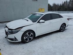 Salvage cars for sale at Cookstown, ON auction: 2023 Hyundai Elantra SEL