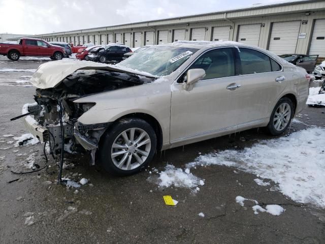 2010 Lexus ES 350