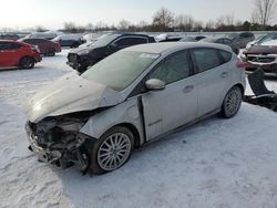 Salvage cars for sale at London, ON auction: 2017 Ford Focus BEV