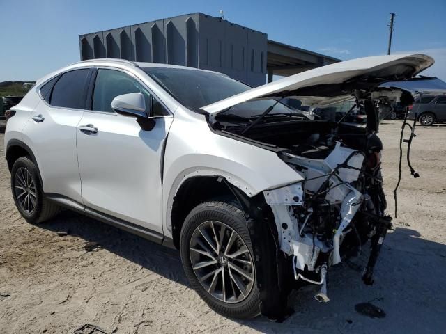 2024 Lexus NX 250 Premium