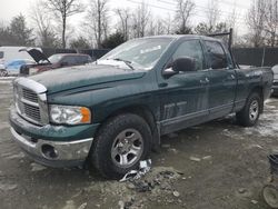 Salvage trucks for sale at Waldorf, MD auction: 2002 Dodge RAM 1500