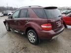 2006 Mercedes-Benz ML 350