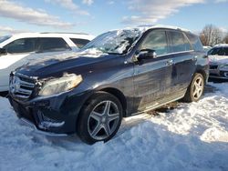 Salvage cars for sale at Hillsborough, NJ auction: 2017 Mercedes-Benz GLE 350 4matic