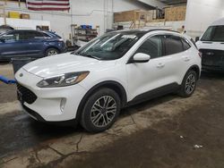 Salvage cars for sale at Ham Lake, MN auction: 2020 Ford Escape SEL