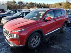 Salvage cars for sale at Exeter, RI auction: 2023 Hyundai Santa FE SEL Premium