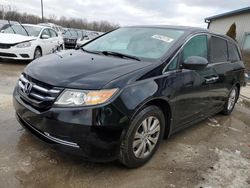 2015 Honda Odyssey EXL en venta en Louisville, KY