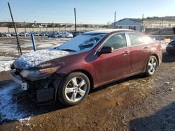 Salvage cars for sale at Laurel, MD auction: 2009 Acura TSX