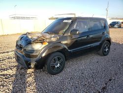 Salvage cars for sale at Phoenix, AZ auction: 2013 KIA Soul